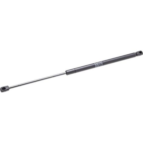 Bouteille de gaz de porte Fendt GT 395 H380810030010 (1/5)