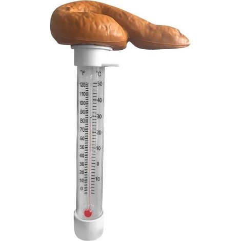 Lustiges schwimmendes Poolthermometer in Form von Kackhaufen - (1/5)