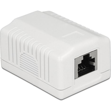 Delock 86196 presa murale RJ-45 bianca design moderno (1/4)