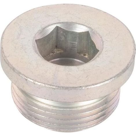 Bouchon SPICER DANA 065050N (1/2)
