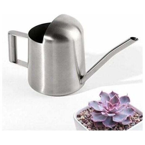QORVA-Mini Arrosoir de Jardin en Acier Inoxydable pour la Maison et Bureau Plantes-Fei Yu (1/4)