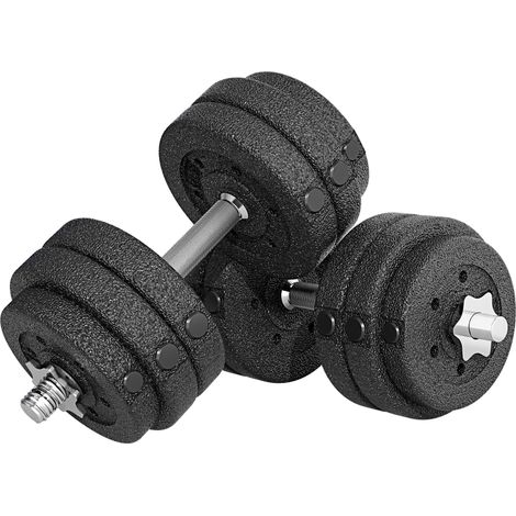 Kit d'haltères de 30 kg (8 disques de 2,5 kg et 4 disques de 1,5 kg) avec 12 disques et 2 haltères de 2 kg, 43 x 18 x 7,5 cm, noir (1/5)