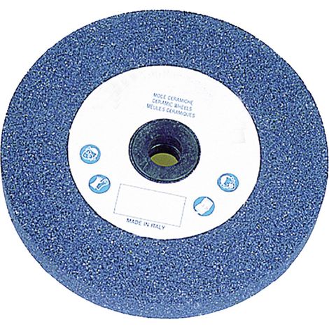 MOLA ABRASIVA ø 125 x 16 F. 13 gr.60