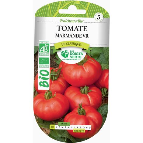 Graines tomate Marmande VR BIO Les Doigts Verts
