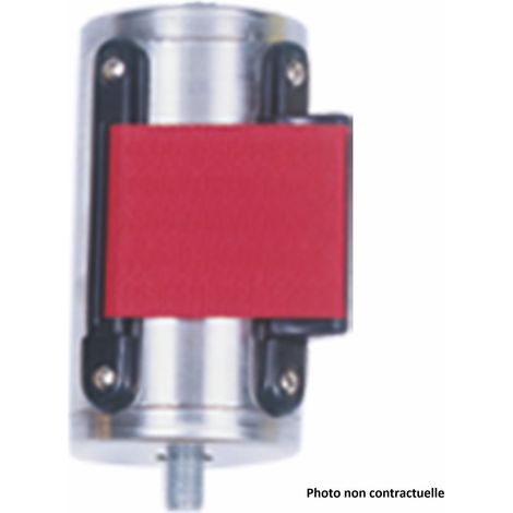 Rechange de Sangle pour Poteau 2 m - Pujadas (1/3)