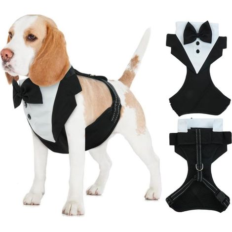 Smoking de mariage ajustable pour chien et chat, collier smoking pour mariage et fête d'anniversaire (M)