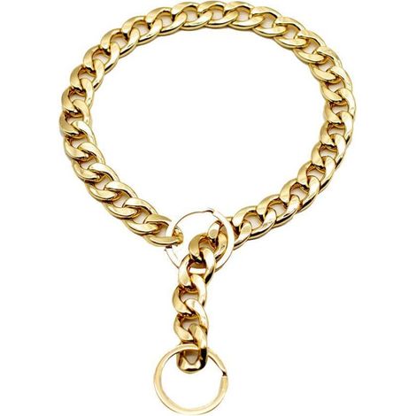 Collier pour Chien en Métal Doré - Accessoire de Mode Canin pour Toutes Saisons (1/5)