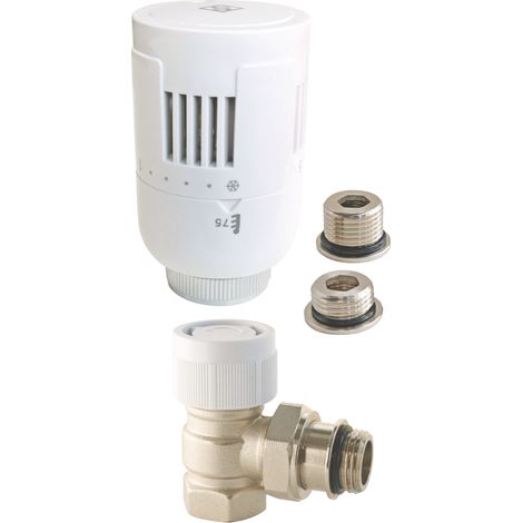 SOMATHERM FOR YOU Robinet thermostatique T303 équerre universel en laiton blanc (1/3)