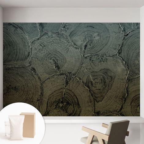 Papier peint intissé décoratif avec colle pour salon chambre et bureau Installation rapide Cernes de bois 152x104 cm (1/5)