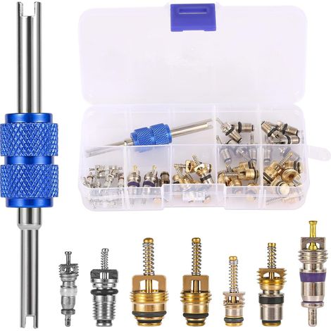 Kit de 40 Pièces de Noyau de Valve AC, Noyau de Valve de Climatiseur de Voiture avec Outil de Démontage à Double Tête Kit de Valve Schrader A/C R12 R134a pour la Plupart des Voitures (1/5)