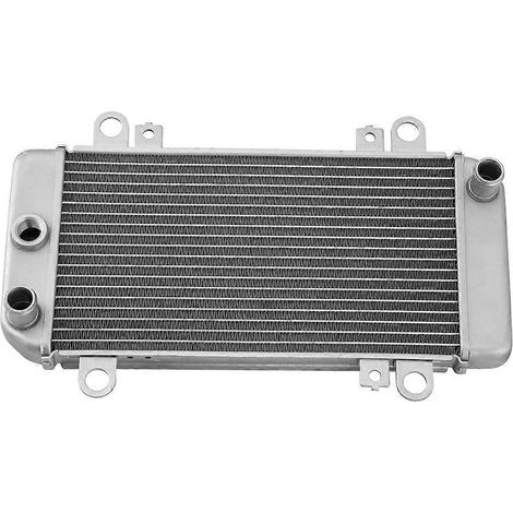 Compatible avec les refroidisseurs de radiateur pour les motos 250R EX250J des modèles 2008, 2009, 2010, 2011 et 2012. (1/5)