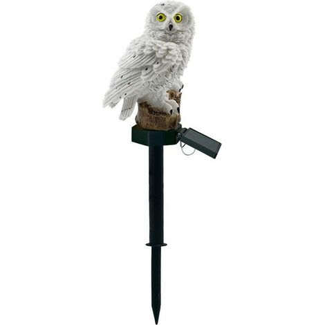 Lumière Solaire Jardin Chouette LED Pelouse Étanche (1/5)