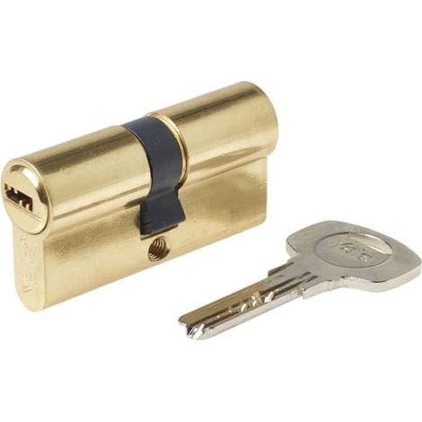 Yale 110724040040201 Cilindro Doppio accoppiamento CS10 ad Alta Sicurezza, Ottone lucidato, 40/40 (1/4)