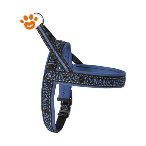 Camon Dog Pettorina Neoprene Dynamic - Blu Petrolio - Accessori