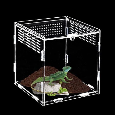 1 Boîte d'élevage, Acrylique transparent, 10 cm, Ventilation latérale, Terrarium compact, Pour araignées et insectes