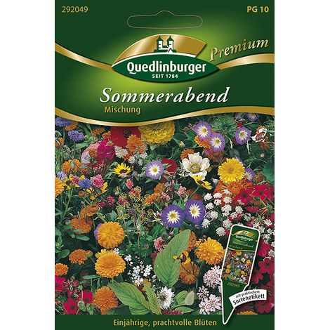 Quedlinburger Saatgut – Mélange « Sommerabend » – Graines de fleurs parfumées, hauteur env. 80 cm