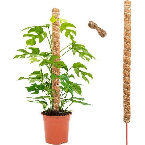 tuteurs pour plantes Monstera, tuteurs en mousse et fibre de coco, 120 cm, bâton de support pour plantes grimpantes (1/5)