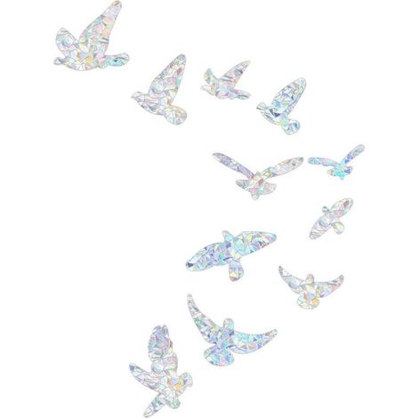 11 Autocollants Arc-en-Ciel Anti-Collision pour Fenêtres - Protection Oiseaux Décoration Vitre (1/5)