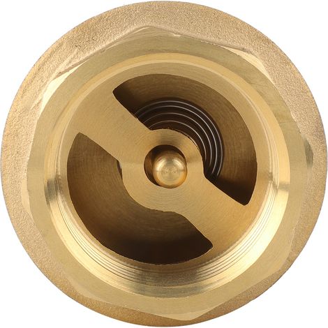 Clapet anti-retour unidirectionnel en laiton fileté haute précision pour eau gaz huile G1'' (1/5)