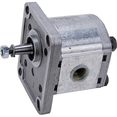 Pompe CASAPPA PLP103D081E1G (1/5)