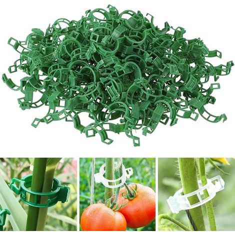100 Kletterpflanzen-Stützclips, darunter Tomatenclips zur Befestigung von Gemüse, Gurken, Blumen, Sträuchern und Käfigpflanzen (grün). (1/5)