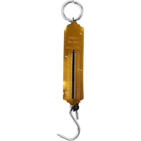 Balance Mécanique Suspendue - Ressort Vertical - Crochet de Suspension - Pour Pêche Cuisine Extérieur - 5 kg - Échelle Portative (1/5)