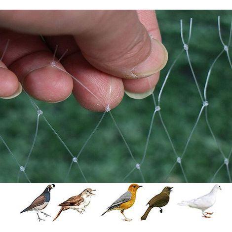 Filet anti-oiseaux et anti-insectes 3m x 7m – Maille 2cm en nylon – Protection efficace pour cultures et jardins – Couleur blanche (1/5)
