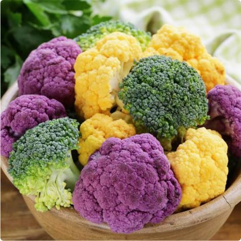 Mélange Chou-Fleur 100 pcs – Plants Potager – Semences Légumes (1/4)
