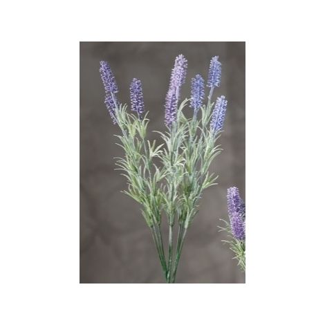 RAMOSC LAVANDA ASS3COL CM52