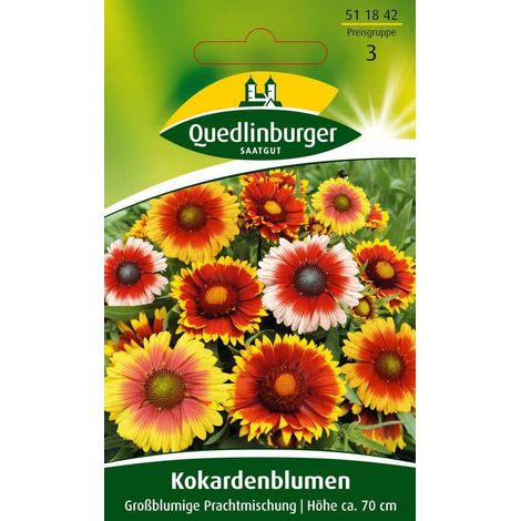 Kokardenblume, Großblumige Prachtmischung (1/2)