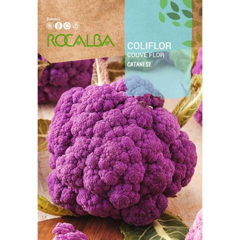 Rokalba Caciflor Catanese 3G