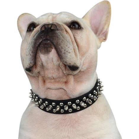 Collier réglable en cuir microfibre avec rivets pour chiens de petite, moyenne et grande taille (L, noir) (1/5)