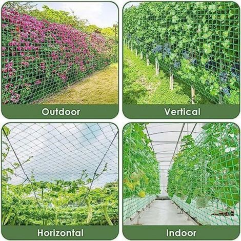 Filet À Ramer - Polypropylène - Pour Tomates Haricots Et Plantes Grimpantes - 1,8 x 5 m - Vert (1/4)