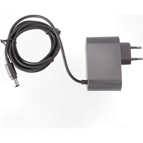 Adaptateur secteur universel pour chargeurs d'aspirateurs DC30, DC31, DC34, DC35 et DC44 (prise européenne) (1/5)