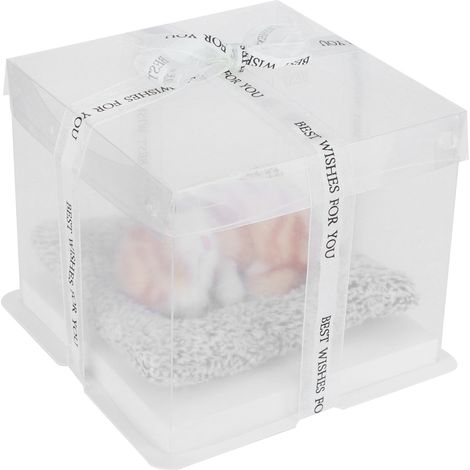 Realistisches Katzenspielzeug aus Aktivkohle für Kinder, 2er-Pack, Heimdekoration, Geburtstagsgeschenk (17x17x12 cm) (1/5)