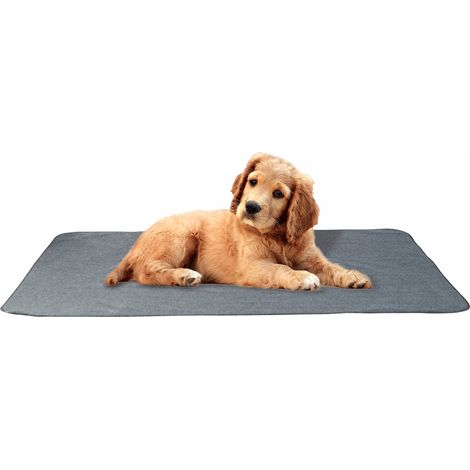 Tapis Pour Animaux - Imperméable Anti-dérapant Absorbant - Pour Chiots et Chiens - 60 x 40 cm - 1 Pièce (1/5)