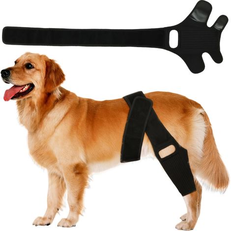 Tutori per zampe di cane per ginocchio/anca con barra metallica, supporto confortevole per displasia/lussazione della rotula