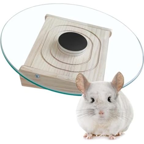 Roue d'exercice pour Chinchillas, Roue Hamster en Verre de 28 cm Plaque Tournante pour Chinchillas avec Roulement Métallique Plaque Hamsters de Sport Silencieuse Roues d'exercice pour Petits Animaux (1/5)