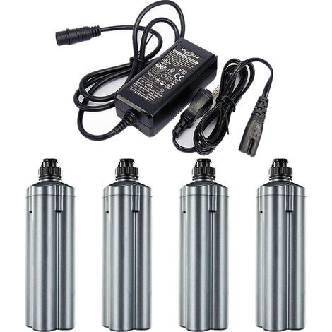 4 Pièces BM2900 BM2600 BM02300 Batterie de moulinet de pêche électrique & Chargeur pour Daiwa BM2000 Tanacom 1000 Tanacom 750 SB300MJ SB150J-DH-L SB200J -L SB270MM 5,0Ah (1/5)