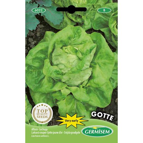 Graines de Laitue 5 g EC6022 Multicolore (1/2)