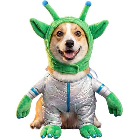 Costume d'alien 3D doux et respirant pour chat (1/5)