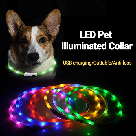 Collier Luminieux Pour Chien - Collier LED Rechargeable Avec Modes Clignotants Et Lumière Continue - Pour Marche Nocturne - 70 cm (1/5)