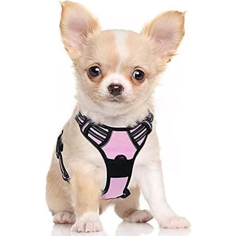 Harnais chien anti-traction rose S, gilet réfléchissant réglable, attache devant, pour Bouledogue Français, Berger Australien, randonnée, voiture – DELKEVIC (1/5)