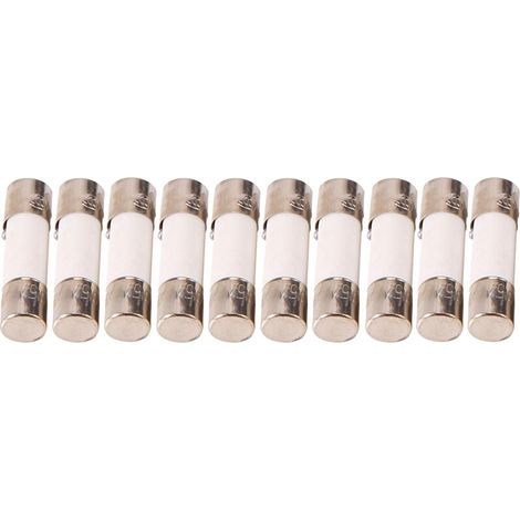 10 Pièces Tubes Céramique Fusibles 5x20mm 250V 0.5A à 500mA Rupture (1/4)
