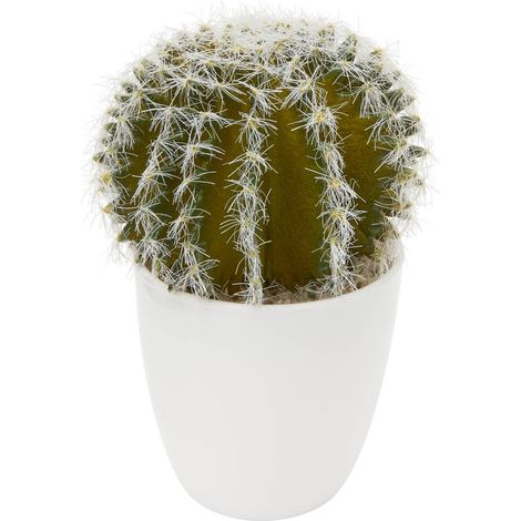 Pianta succulenta e cactus H18cm - Modello g - Atmosphera créateur d'intérieur