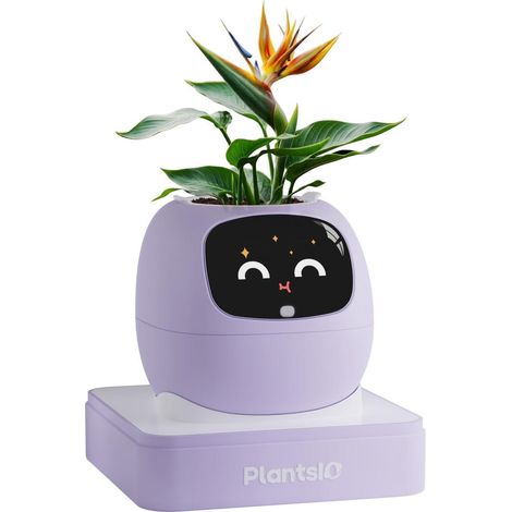 Intelligenter Blumentopf mit automatischer Bewässerung und App-Steuerung, Violett (1/5)