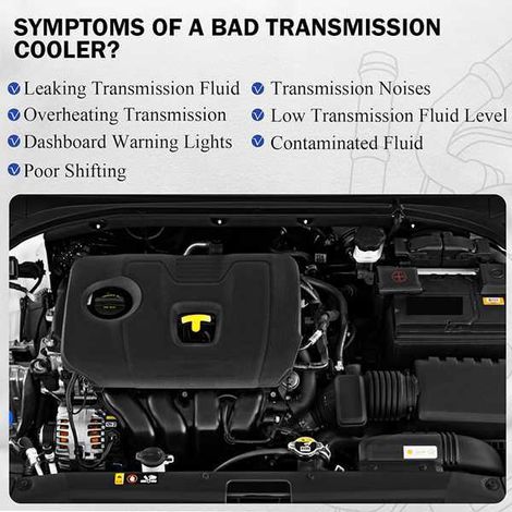 25620F2000 ist für Ölkühler des Hyundai Elantra der Baujahre 2017-2018 geeignet. (1/4)