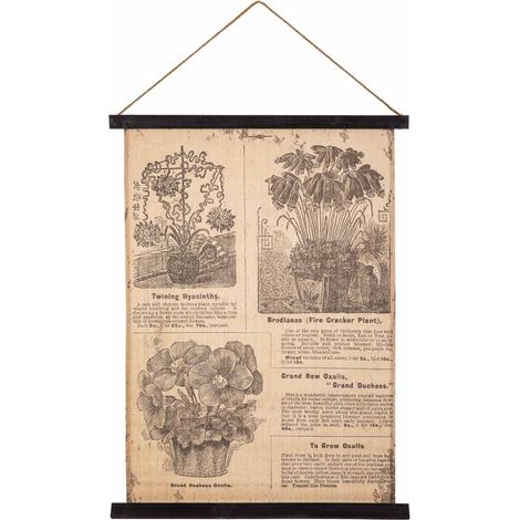 Lienzo pergamino de tela impresa 55x75x2,5 (1/5)
