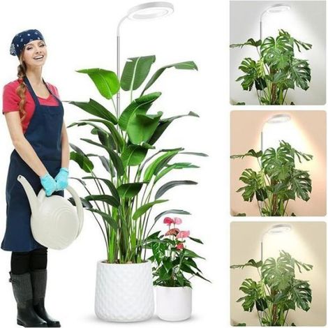 Cultivez la lumière, Lampe de croissance LED for plantes d'intérieur à spectre complet, intensité variable, hauteur réglable (1/4)