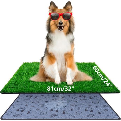 Litière pour chien, 81 x 60 cm, avec gazon artificiel, hautement perméable, pour chiots, lavable et réutilisable, pour l'intérieur et l'extérieur (1/5)